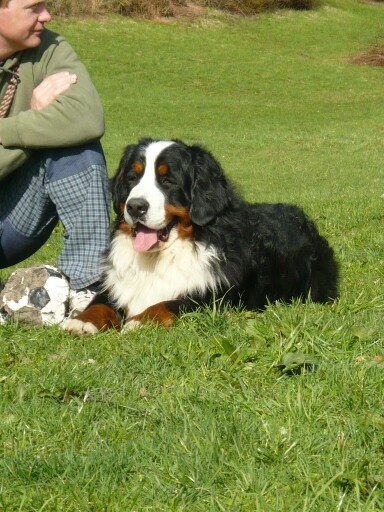 Bastien