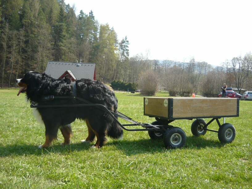 Gassík tahač